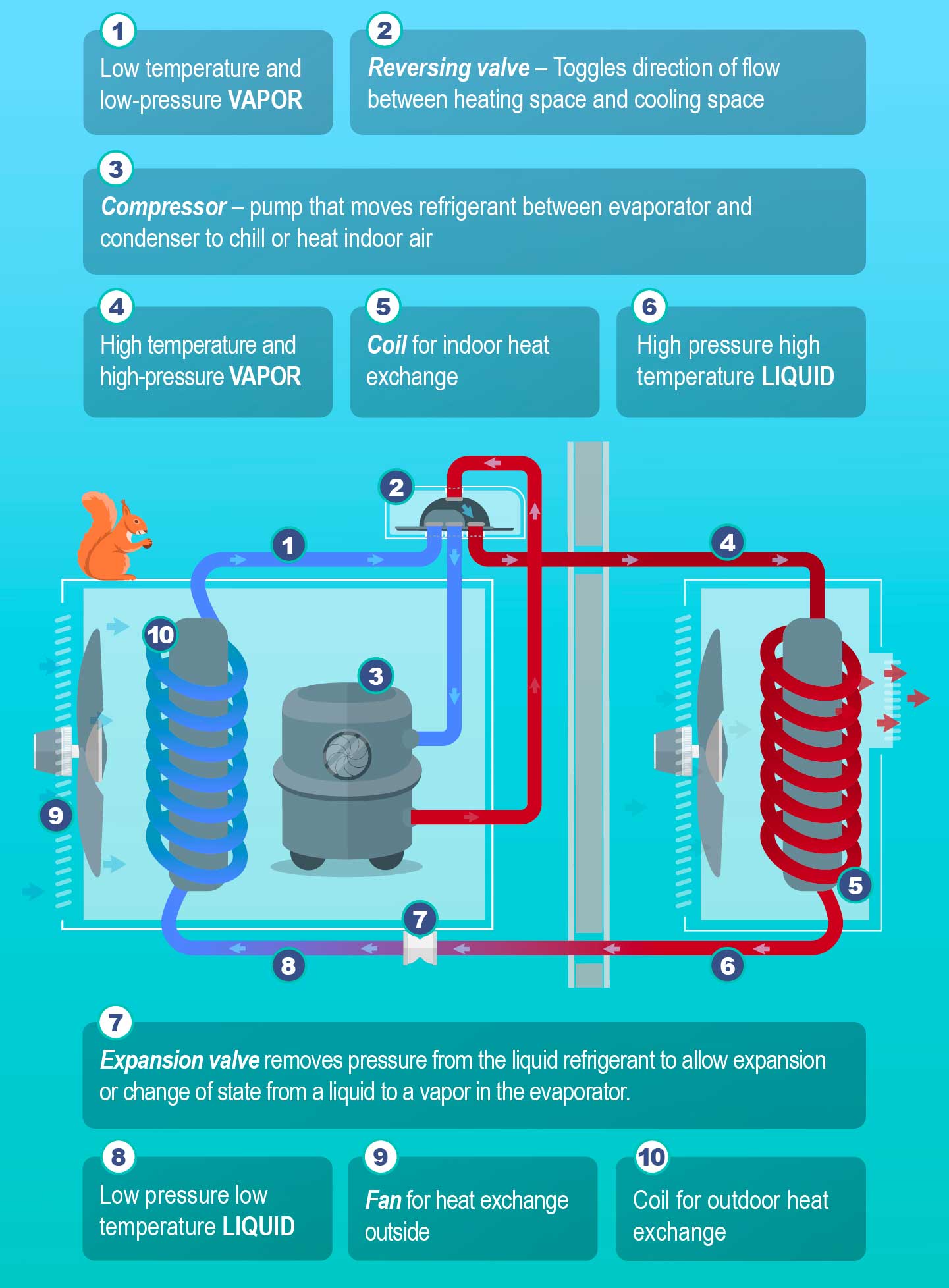 Infograph of how heat pumps work